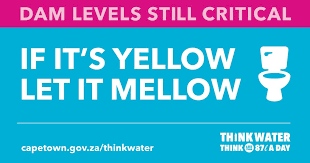 Capetown Government Flyer